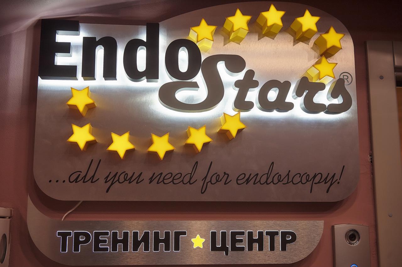 Endo Stars